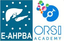 E-AHPBA Level 1 Robotic Course on HPB Surgery