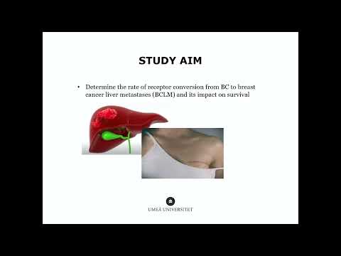 FP04: Liver 2